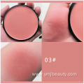 Wholesale Cosmetics Powder Blusher Custom Logo